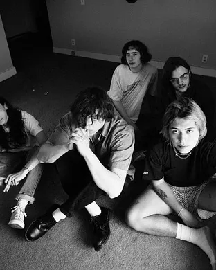 Geese - Band Phoenix