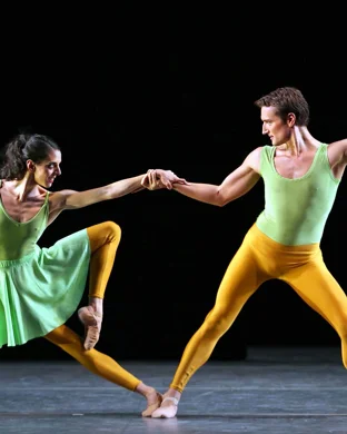 Phoenix Ballet Phoenix